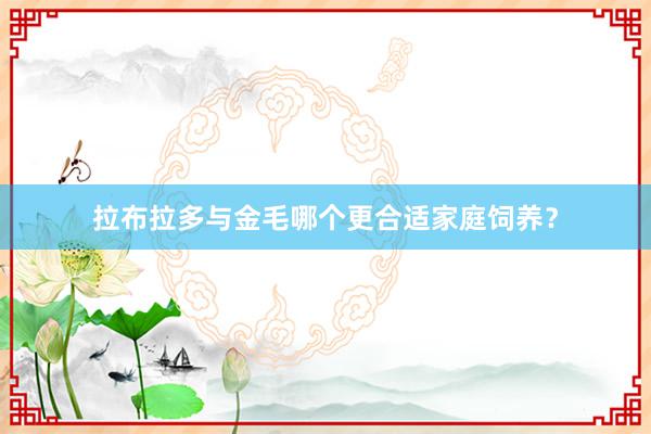 拉布拉多与金毛哪个更合适家庭饲养？